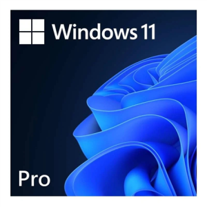 Microsoft Windows 11 PRO ESD
